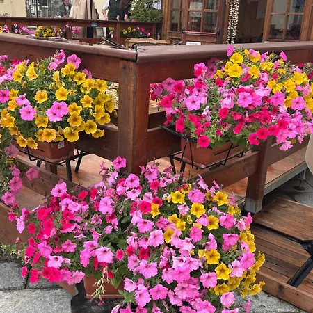 La Trinite Home Near Punta Jolanda 그레소니라트리니테